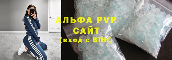 ГАЛЛЮЦИНОГЕННЫЕ ГРИБЫ Осинники