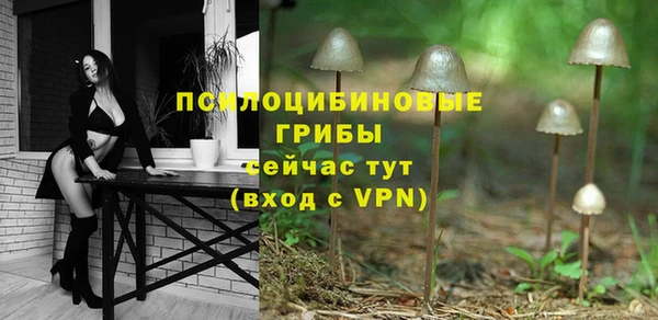 соль ск Абаза