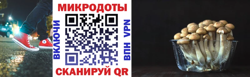 Галлюциногенные грибы ЛСД  как найти закладки  Благовещенск 