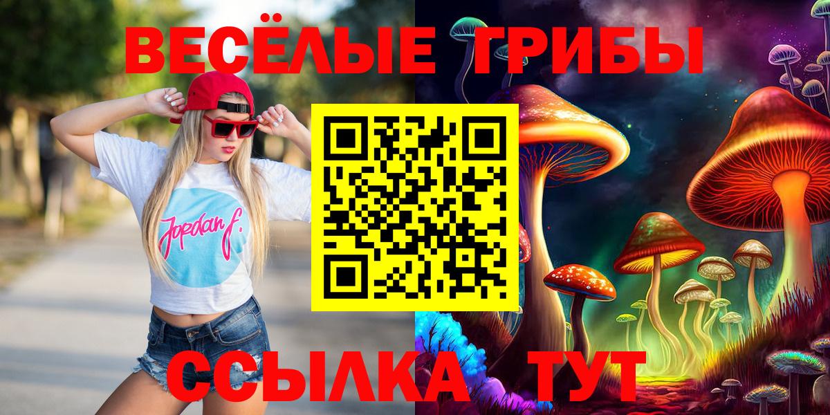 где можно купить   Вход с VPN  Благовещенск  Галлюциногенные грибы Psilocybine cubensis  Галлюциногенные грибы прущие грибы 